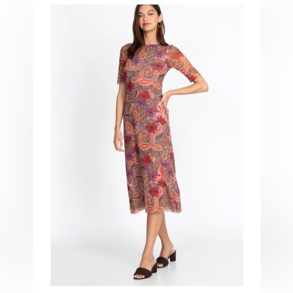 Johnny was medium Haley mesh paisley midi dress.